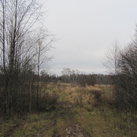 д.Завражье, осень 2011 года, вид  от бывшей околицы деревни со стороны д.Шишкино.