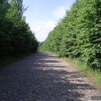 Дорога на Юрковку