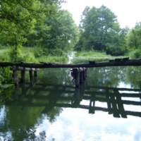 Старый мост по пути в лесничество