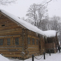 Петровский дом