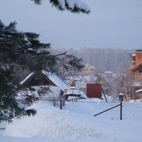 зима 2011 г