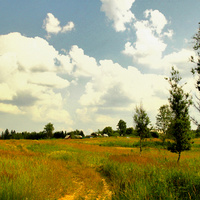 Деревня Дарево