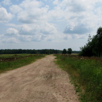 дорога в деревню Добрынь ( вид с переезда), июль 2010г.