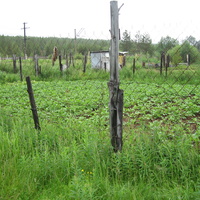 огороды у Мурдозера 07.2009