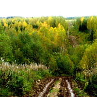 Дорога в Нос-сады