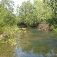 река Жижала