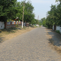 улица Петровского
