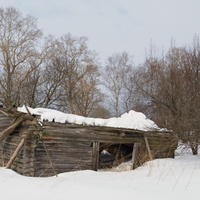 Развалины конюшни на входе в деревню Еляково.