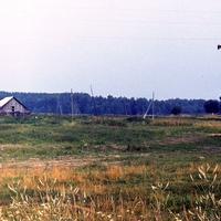 Вид на Шилово со стороны Аннтонова. Слева остатки ферм. Вдали справа видны остатки деревни. лето 199