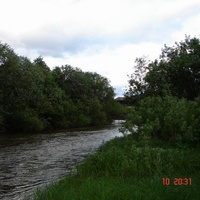 Течет река Велва