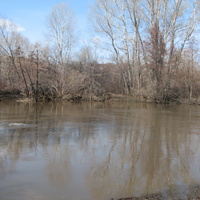 Река Кураганка 17 апреля 2011г.