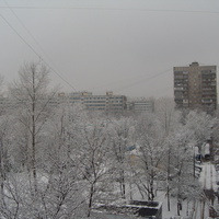 Зима. 01.01.2012