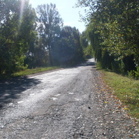Дорога до рідного села