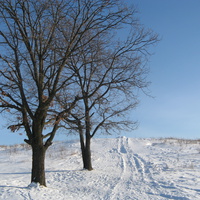 Снежное поле