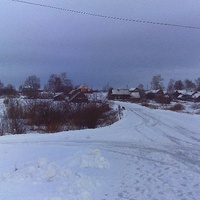 В д.Веселово зимой