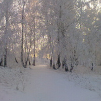 Саргамыш,зима 2012
