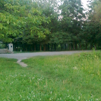 природа рідного села