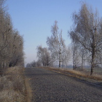 Дорога до с. Колюхов