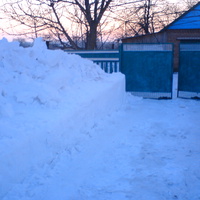 зима в Алексеевском