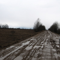Весенняя дорога в Березовку