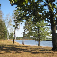 Днепр возле Вербужа