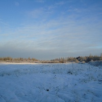 поле зимой