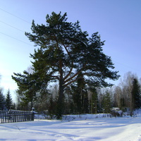 Зима 2012