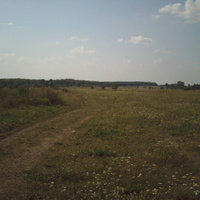 Какинское поле