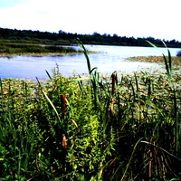 озеро шиверхи