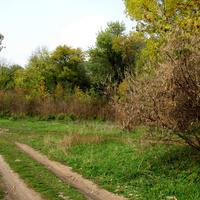 Осенний парк Чапаева