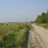 Дорога на Чубковичи