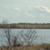 деревня Давыдовская