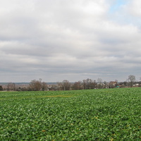 Вид на деревню со стороны перегона Мозырь - Козенки