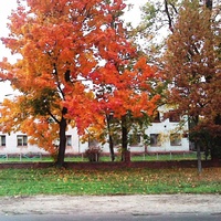 Здание центра и эпидемиологии на ул. Крупской