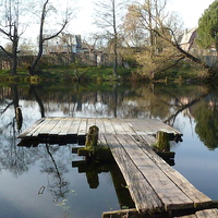 Пруд на Жировке