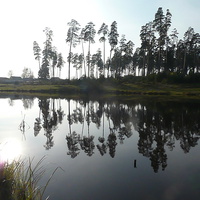 Больничное озеро