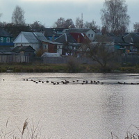 оз.Кучеровское (первый ледок)