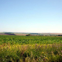 Вид на село с дороги "Еленовка-Маяк"
