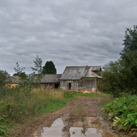 Окраина деревни Толоцкое