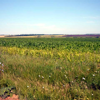 Вид на Кисловку и Булычево с дороги