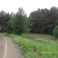 Лутавский лес