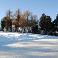 Улаганский перевал зимой. 2012 г.