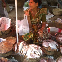 Colva, Goa, India Свежая  Рыбка