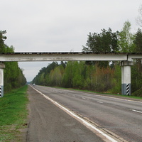 Путепровод узкоколейки над автомагистралью М10
