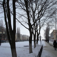 ул. Ленина суровой зимой