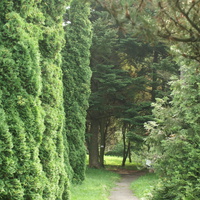 Ботанический Сад