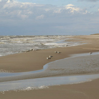 Балтика, пляж
