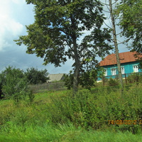 Зелённый дом у дороги