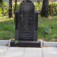 Новая Водолага. Памятник жертвам чернобыльской трагедии.