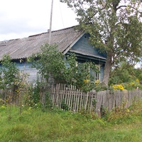 деревня Петрово-Сосницы ( Секратово), дом Прокофьевых, август 2012 года
